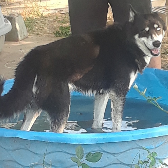 Meet your Posher, Catarina - Picture 6 of 8